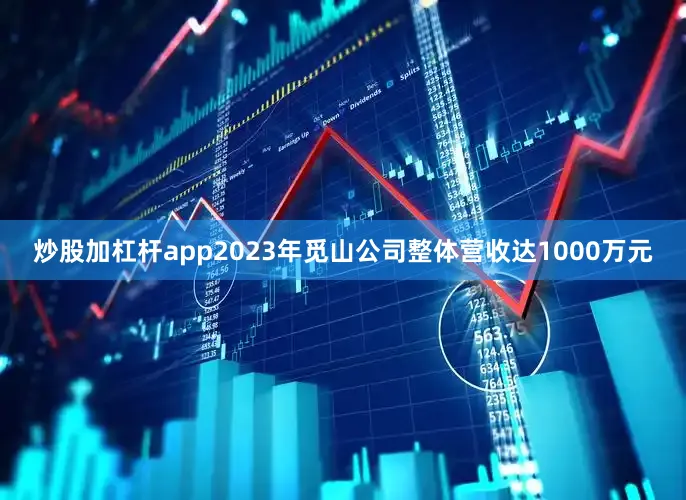 炒股加杠杆app2023年觅山公司整体营收达1000万元