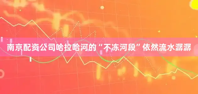 南京配资公司哈拉哈河的“不冻河段”依然流水潺潺
